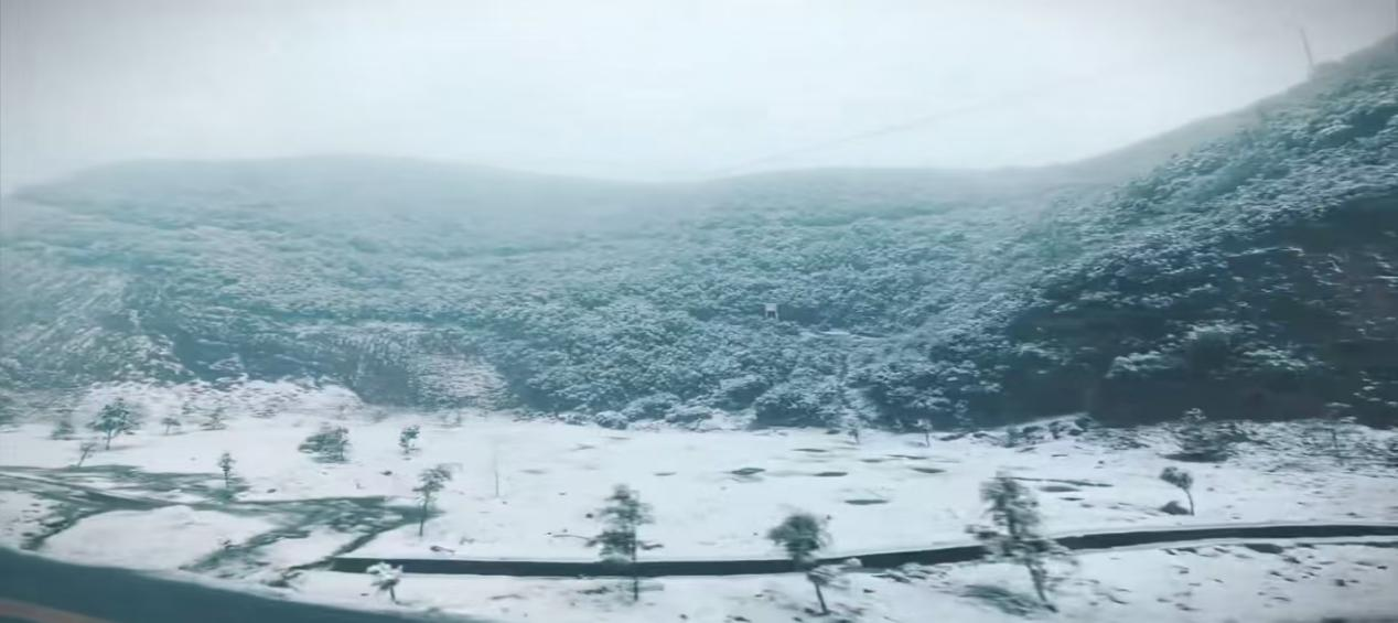 1777548149927526.png 图片1.png